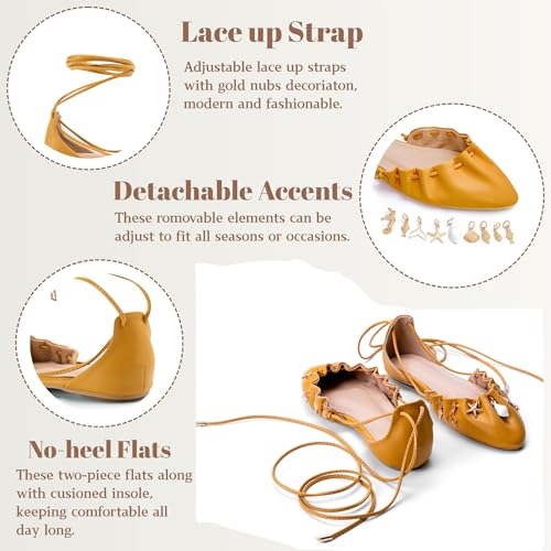 Lace Up Ballet Flats for Women Pointed Closed Toe Tie Up Slip On Ballerina Shoes Mary Jane Flats Cute Dressy Comfortable Fall Flats Shoes4