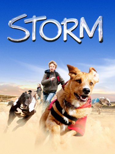 Storm (English Subtitled)