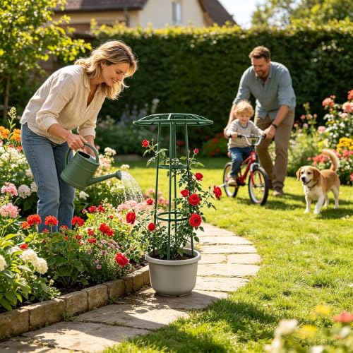 Enrejado para enredaderas en forma de sombrilla para plantas y terrazas exteriores 4