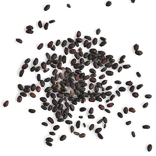 wiFndTu 100Pcs Insects Catch Carnivorous Plant Seeds Home Garden Yard Bonsai Decoroation - Making it an Ideal Gift for Gardeners Carnivorous Plant Seeds