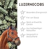 Supravit Luzernecobs 20kg - energiereiches Pferdefutter I Luzernepellets mit hohem Anteil an Carotin I liefert wichtige Mineralien für alle Pferde