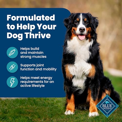 image for Blue Buffalo Life Protection Formula Adult Dry Dog Food, Helps Build a
