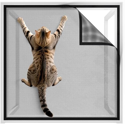 BKSAI Chat Moustiquaire Fenêtre - Filet Anti-Chat Renforcé 320g/m² Résistant Griffes Morsures - Grillage Protection Chat Anti-Fugue et Anti-Moustique -...
