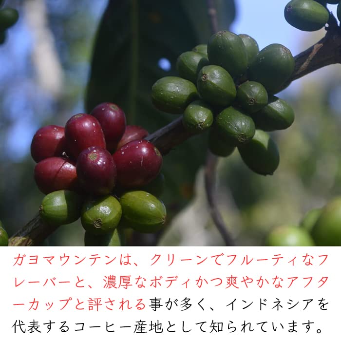 Amazon | ガヨマウンテン 専門店 KopiKan 焙煎 無農薬 コーヒー豆