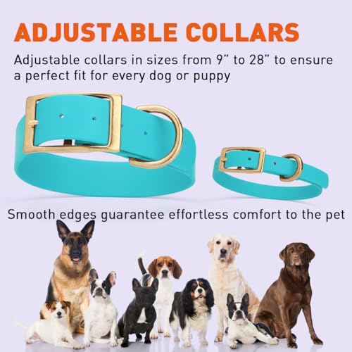 Image of Viper Biothane Heavy Duty Waterproof Dog Collar Strong Coated Nylon Webbing w /Solid Brass Hardware Odor-Proof Easy to Clean High Performance Fits Small Medium or Large Dogs, Sky Blue