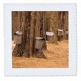 Square dimensions (in Inch): 16 L x 16 W, image dimensions (in Inch): 14 L x 14 W 100% polyester; image is soft to touch Edges have pinking shear cut Image will not fade with washing Image not a transfer, part of material