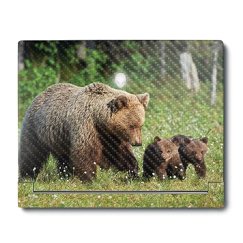 Image of MightySkins Carbon Fiber Skin Compatible with Alienware X16 R1 (2023) Full Wrap Kit - Grizzly | Protective, Durable Textured Carbon Fiber Finish | Easy to Apply & Change Styles | Made in The USA
