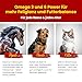 Scheidler horse-direkt Leinöl für Pferde, Hunde & Katzen 5 Liter – Mühlenfrisch kaltgepresstes Leinsamenöl ohne Zusätze – Reich an Omega 3 & 6 für Fellwechsel/Barf Öl – Aus Deutschland