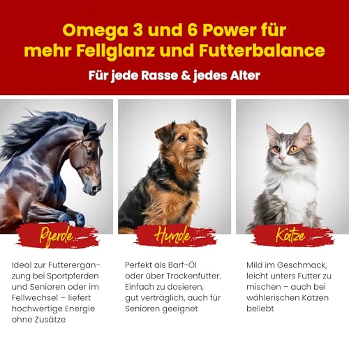Scheidler horse-direkt Leinöl für Pferde, Hunde & Katzen 5 Liter – Mühlenfrisch kaltgepresstes Leinsamenöl ohne Zusätze – Reich an Omega 3 & 6 für Fellwechsel/Barf Öl – Aus Deutschland