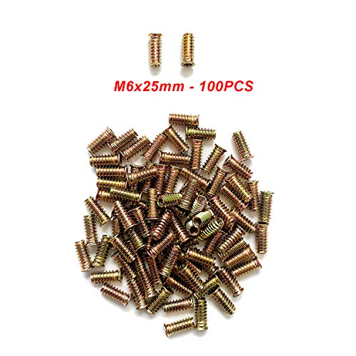 LIKERAINY 100Pcs Tuercas Hexagonales de Hierro Galvanizado M6x25mm Tuerca Insertables Roscadas para Muebles de Madera Insertos Ciegos Tuerca Tuercas de Fijación