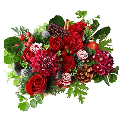 �r���[�e�B�t���{�[�C �I���W�i�� �t�����[�P�[�L�y �A�����W�����g �t�����[�M�t�g ���� ���b�h�n wa2 �z