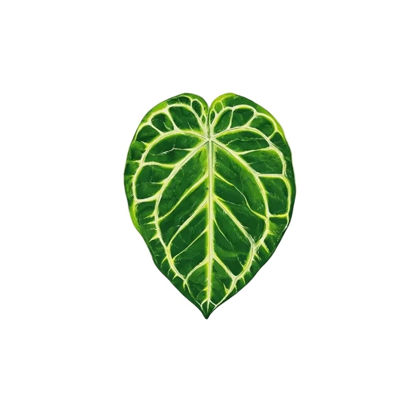 Coaster 3pcs Tropical Green Plant Cup Mats Anti Slip Holders Kitchen Drink Coasters(Color1)