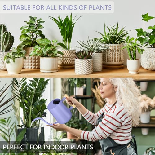 Image of Watering Can Indoor Plants, 35oz Small Stainless Steel Metal Watering Can Modern Decorative Watering Pot with Long Spout for Indoor House Plant Bonsai Garden Flowers (Purple)