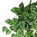 Darice Ivy Chain Green, 6 Feet Garland