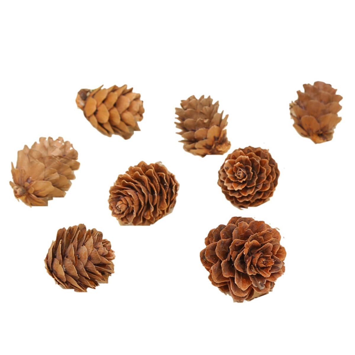 Veemoon 210 Piezas Piñas Naturales de Pino Secas de 2-3 Cm para Decoración Navideña y Manualidades, Hechas de Plástico Resistente para Adornos de Árbol y Hogar