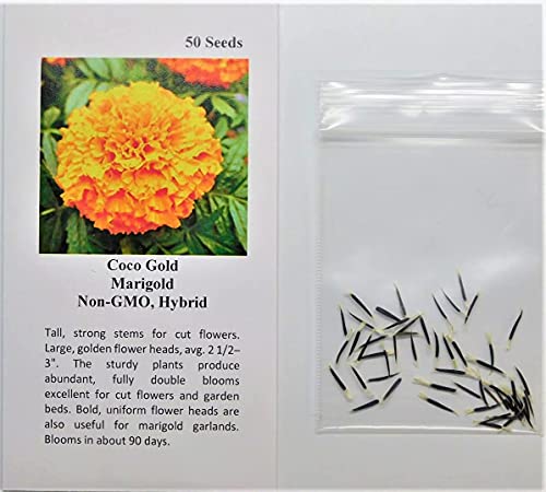 Flower Marigold Coco Gold Fba-7492 (Multi) 25 Non-Gmo, Heirloom Seeds #TOP1