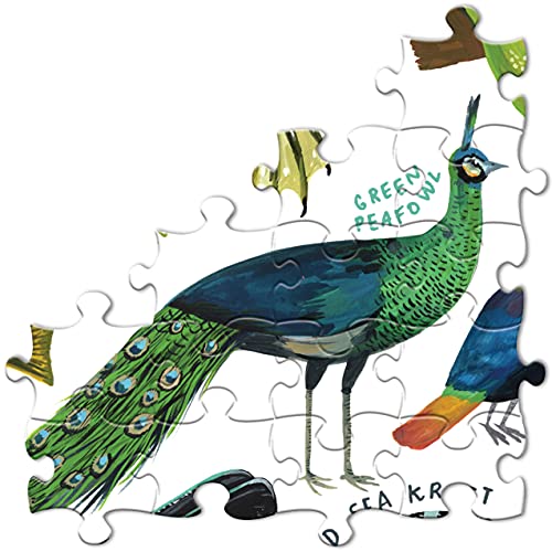 eeBoo A Rainbow World - 1000 piece PZTRBW