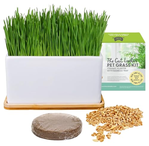 The Cat Ladies Herbe à Chat Fraîche - Kit de