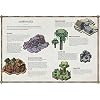 Minecraft Maps: An explorer's guide to Minecraft Hardcover November 1, 2019
