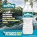 Zephyrhills Florida Spring Bottled Water, 12 Pack - Still Drinking Water with Naturally Occurring Minerals for Taste - 16.9 Fl Oz