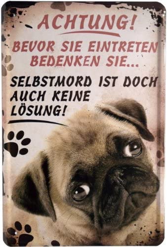 Retro-Blechschild „Pekinese Steckbrief“ – Witziger Hundespruch, 20x30 Cm, Als Deko Oder Geschenk