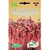 Germisem ECBIO1156 Organisch Amaranthus Micro-Greens Amaranth Zaden 1 g
