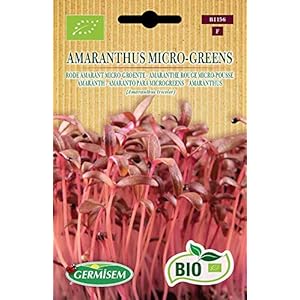 Germisem ECBIO1156 Organisch Amaranthus Micro-Greens Amaranth Zaden 1 g