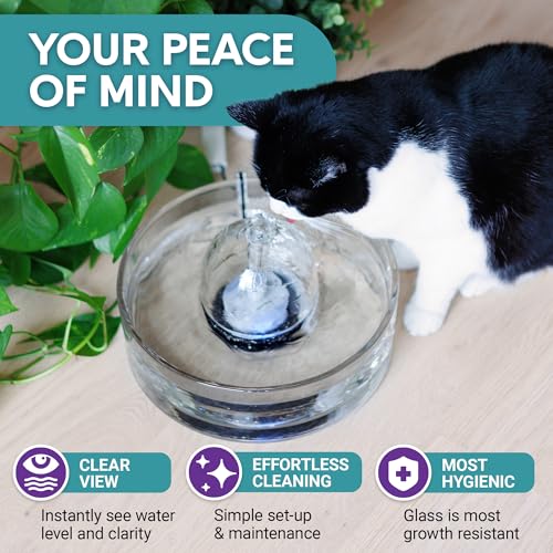 image for Brook Glass Pet Fountain (90oz/2.7L) – Cat & Dog Water Fountain – 