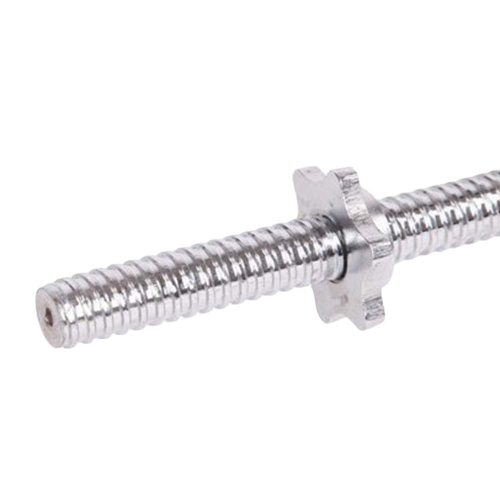 EZ Curlstange - Langhantelstange Zum Gewichtheben, Workouts - Bodybuilding Stange für 1 Zoll Gewichtsplatten