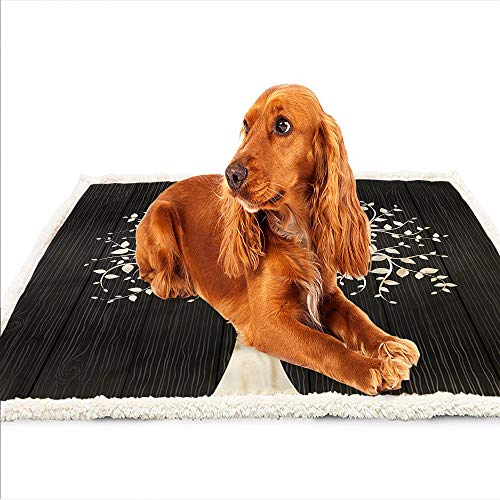 Rhinozix ユニバーサルクイックサイフォンポンプ、合理化された水槽クリーニングツールを備えたバケツフリーの水族館水チェンジャー