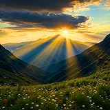 Alive in God's Light