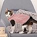 Hundepullover Haustier Pullove, Winter Warmer Hund Katzenpullover, Kleine Hunde Rollkragen Strickpullover, Strickpullover Oberbekleidung für Kleine Mittelgroße Hunde und Katzen(Rosa M)