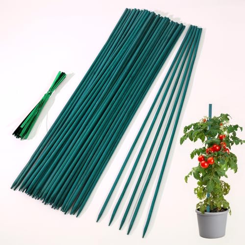 50 Pack Plant Support Sticks 44cm Bamboo Sticks for Plants with 50 Twist Ties Green Plant Stakes Garden canes Durable Plant Sticks for Flowers Floral Plant