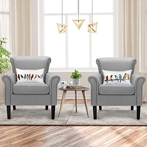 Hysunland Pack Of 2 Summer Fall Bird Lumbar Pillow Covers 12X20 For Outdoor Patio Swing Burlap Throw Pillow Cases With Zipper #TOP4