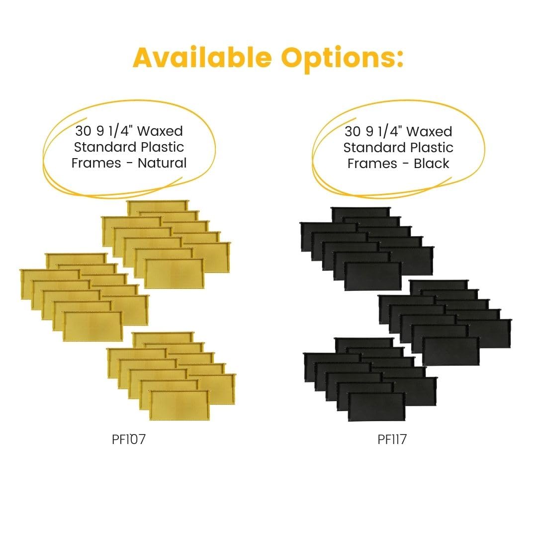 Waxed Plastic Frames for Beehives | Standard Size 9 1/8" Frames | Black Color | Durable Beekeeping Supplies | Case of 30