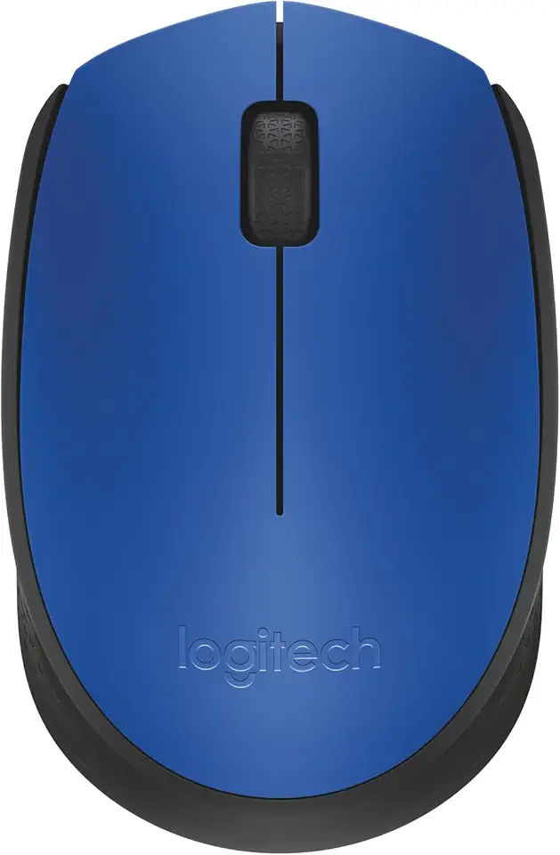 Mouse sem fio Logitech M170 com Design Ambidestro Compacto, Conexão USB e Pilha Inclusa - Azul