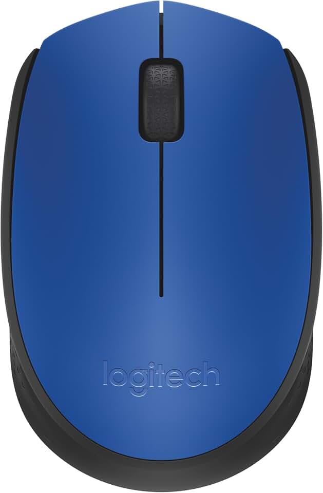 Mouse sem fio Logitech M170 com Design Ambidestro Compacto, Conexão USB e Pilha Inclusa - Azul