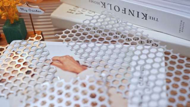 Dryer Vent Grill Dryer Vent Screen with Aluminum Built Bird Guards Inserts Stop Variety Birds Nesting in Dryer Vents and Bathroom Exhaust Vents Outdoor, 3 Inch to 8 Inch (2 Pack)