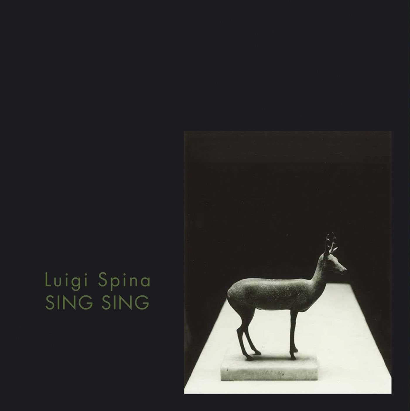 Livre d'art Sing Sing. Pompeii's Body relié édition de prestige