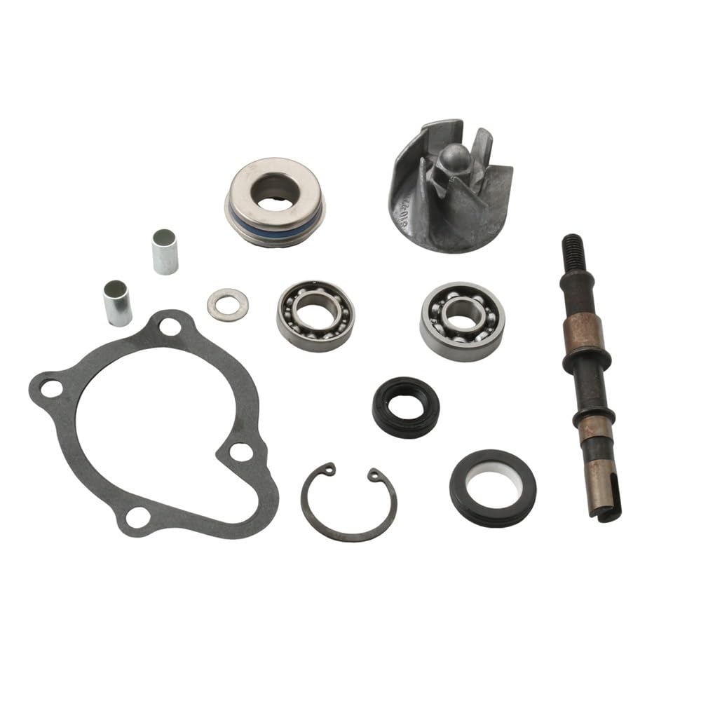 Pompa Acqua Gruppo Pompa Per kit pompa acqua Kymco Repair | Ego BW Gran Dink People S X-Citing 250cc 300cc 100110460 Ego250 Dink250