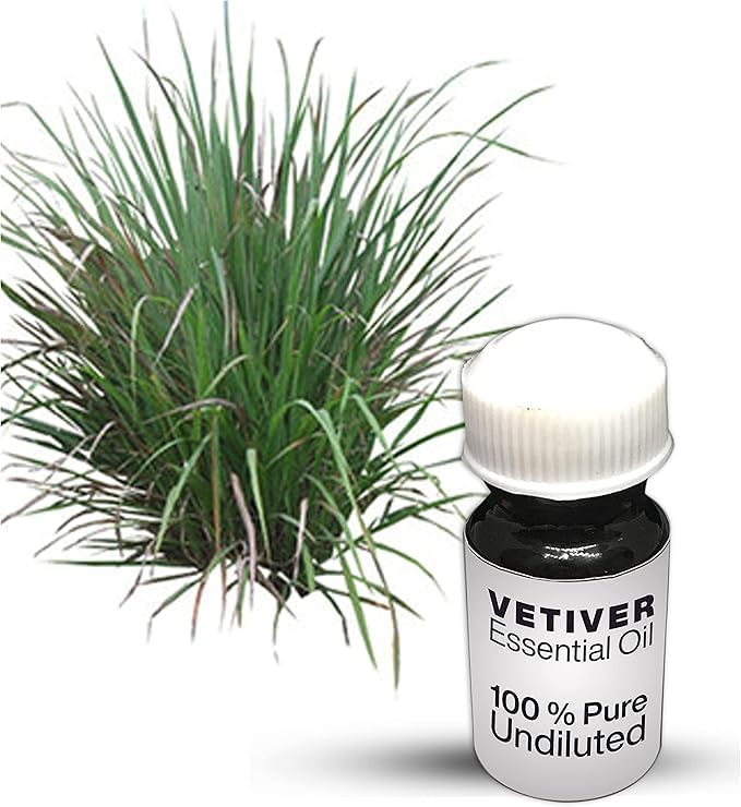 Huile essentielle de vétiver pure et naturelle 10 ml de qualité supérieure