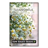 Sow Right Seeds - German Chamomile Seeds for Planting - Non-GMO Heirloom Packet with Instructions to Grow Herbal Tea - Medicinal & Aromatic Flower, Home Remedies - Small Daisy-Like Blooms (1)