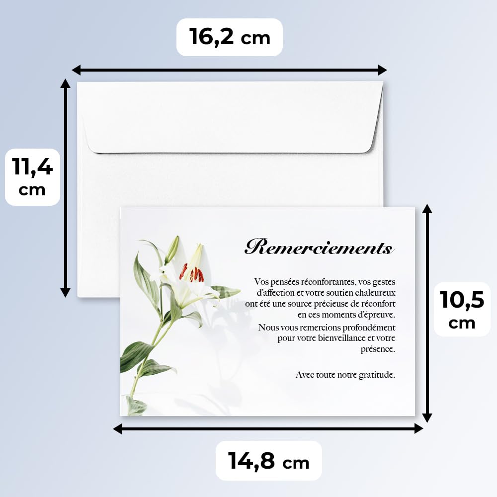 Lot de 30 Cartes Remerciement Deuil Condoléances Obsèques avec Enveloppes Format A6 Fleur de lys
