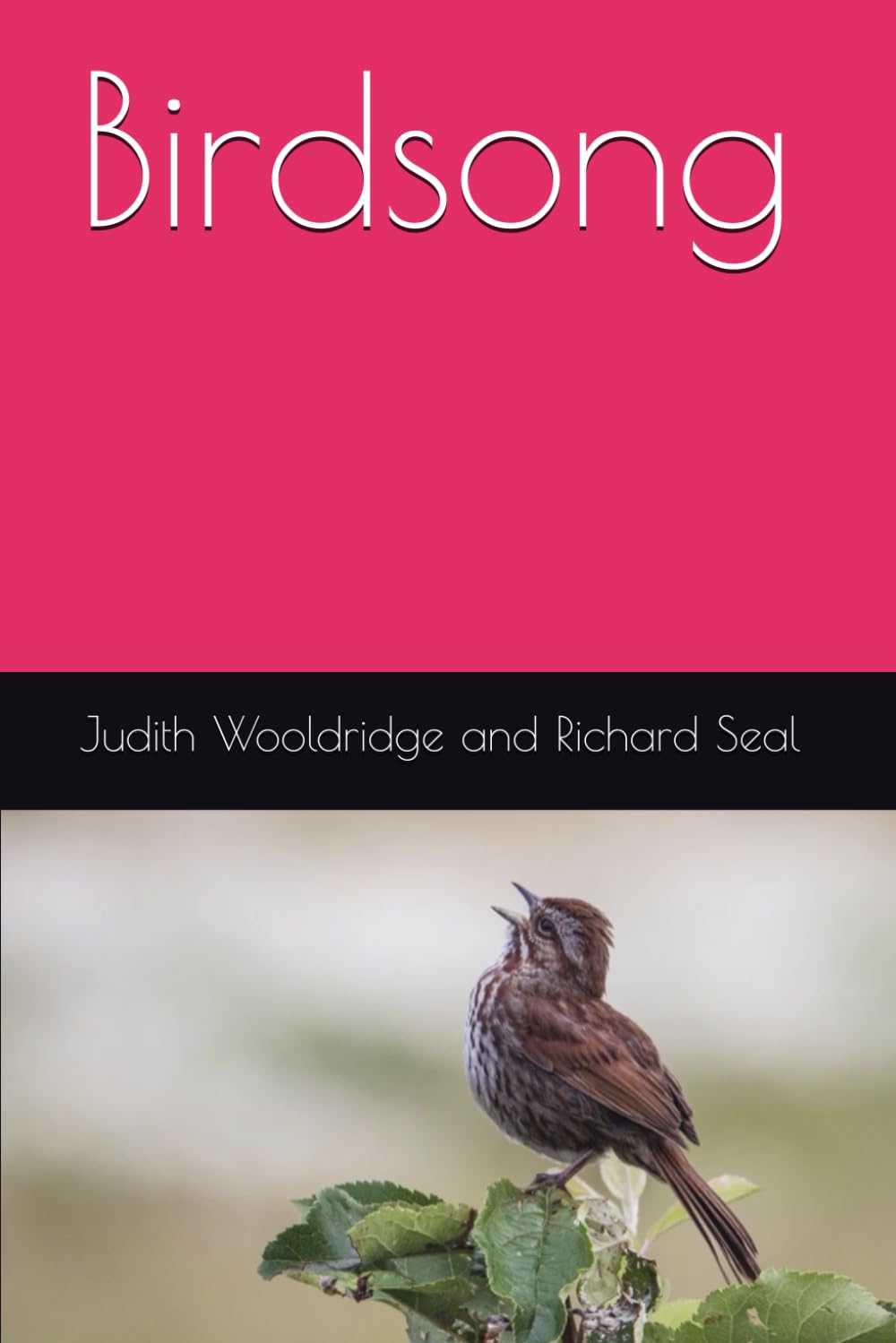Birdsong