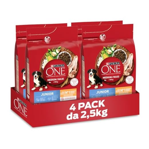 Purina One Medium/Maxi > 10 kg Junior Crocchette Cane Pollo con Riso, 4 Confezioni da 2.5 kg
