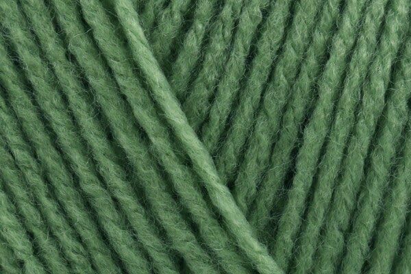 Stylecraft Special DK - Cypress (1824), 10 x 100g Balls, Popular Knitting & Crochet Yarn, 100% Acrylic, 295 Metres