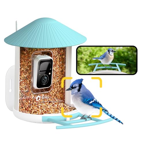 Image of NETVUE by Birdfy AI Smart Bird Feeder with Camera, AI Auto Capture Each Bird Come & Identify 6000+ Bird Species, Cloud Storage, Birdwatching On Live, Ideal Present for Bird Lover