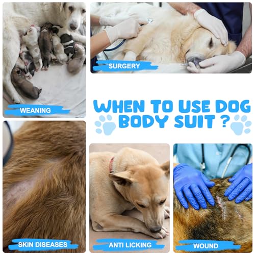 Image of Recovery Suits for Dogs Cats, Dog Surgery Suits Female and Male spay, Breathbale Dog After Surgery Suits, Dog Onesie for Surgery Female Male, Anti Licking Dog Surgical Suits (Blue White Strip, S)