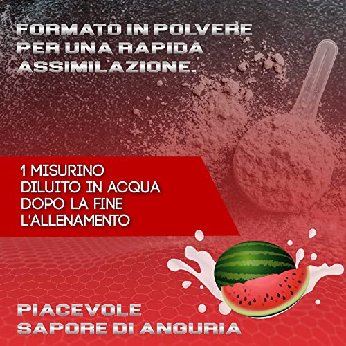 Healthy FUSION Creatina monoidrata