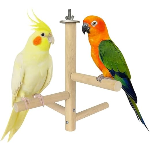 KSK Natural Wood Bird Perch Stand